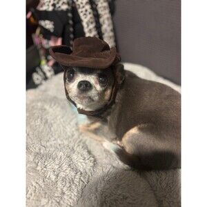 Doggie Cowboy Hat!